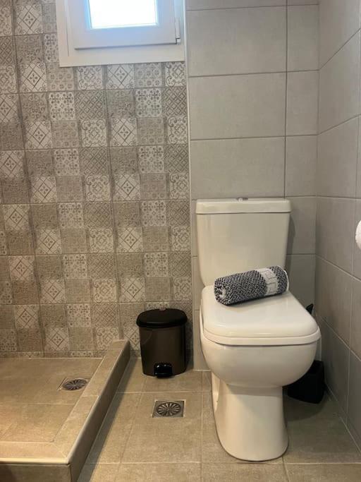 شقة Eirini'S House باراليا ديونيسيو المظهر الخارجي الصورة